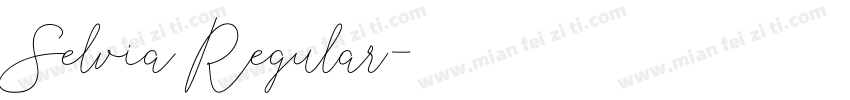 Selvia Regular字体转换